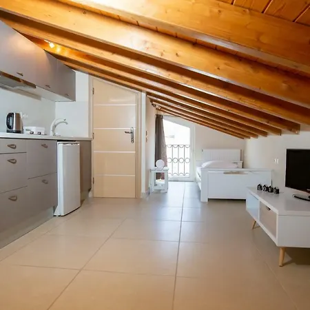 Amazing View Historical Penthouse *